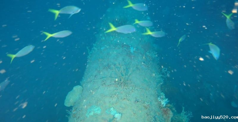 DSTP系统管道周边生态环境良好